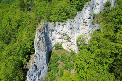 Vogelherd (Niederstotzingen)