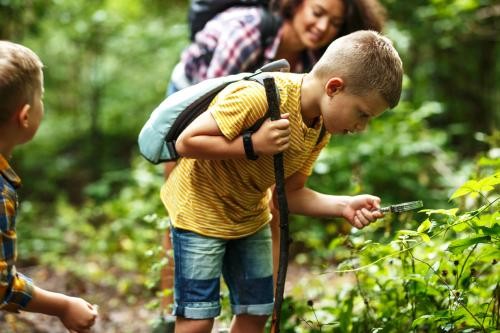Das Bild zeigt ein Kind, das mit einer Lupe eine Pflanze im Wald betrachtet