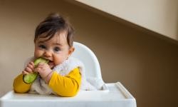 Hier ist ein Foto von einem Kleinkind in einem Kinderstuhl zu sehen. Das Kleinkind hält ein Stück Gemüse in der Hand.