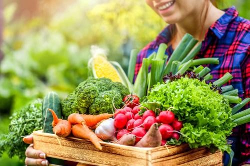 Hier ist ein Foto von frischem Gemüse zu sehen. Eine Person hält eine Holzkiste, die mit einer Vielzahl von buntem Gemüse gefüllt ist. In der Kiste befinden sich Brokkoli, Möhren, Radieschen, Lauchzwiebeln, Mais, Salat, Gurken und Knoblauch. Im Hintergrund ist eine grüne, unscharfe Gartenlandschaft zu sehen, und die Person trägt ein rot-blau kariertes Hemd und lächelt.