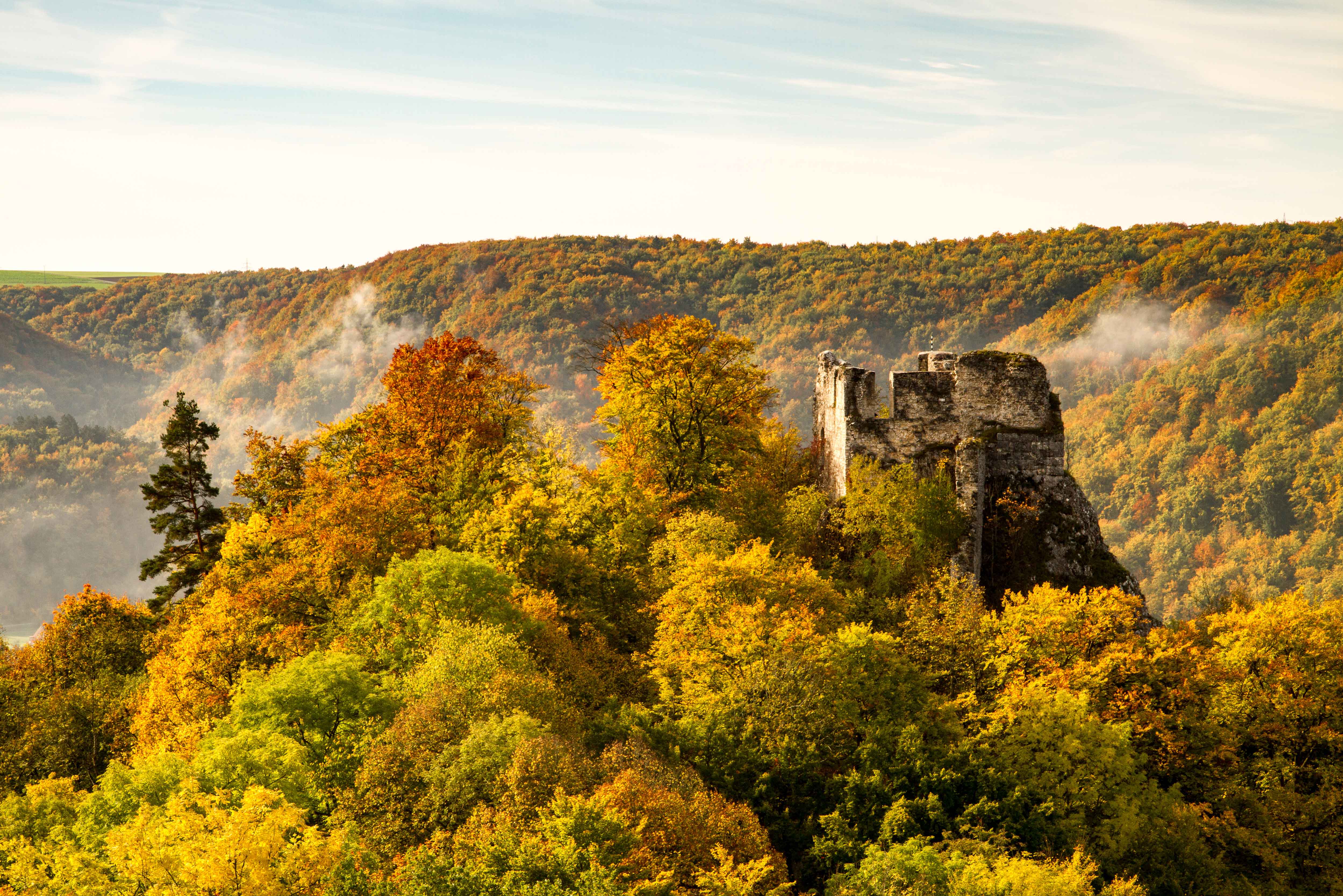 Blick von oben auf Blaubeuren. Links sieht man einen herbstlich gefärbten Wald, rechts Wiesen und Felder, ganz oben in der Ferne die Häuser der Stadt.